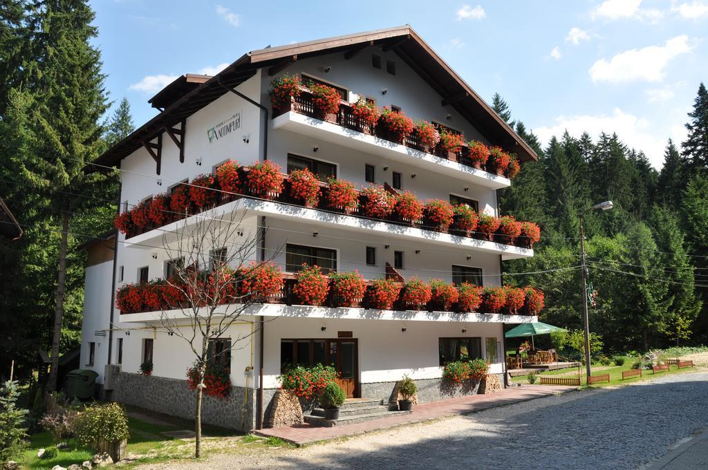 Pensiunea Anotimpuri Predeal Exterior photo